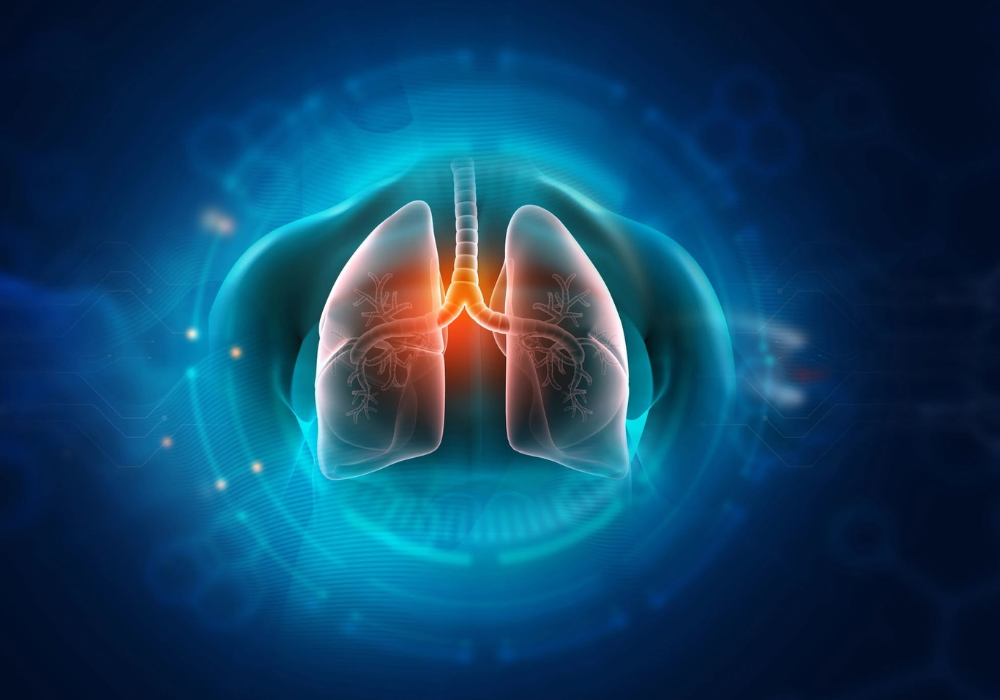 Digital lung anatomy illustration, supporting respiratory health, pulmonary assessment and clinical care planning.
