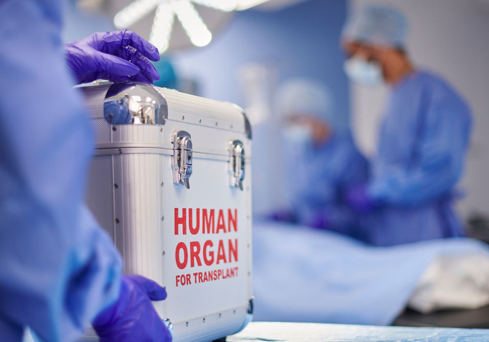 Human organ transplant container in operating theatre, supporting donor organ transport, surgical coordination and transplant care.