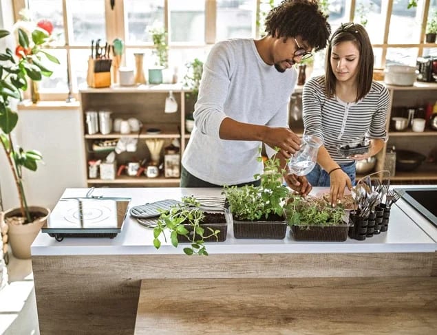 Couple taking care and watering kitchen herbs at their apartment