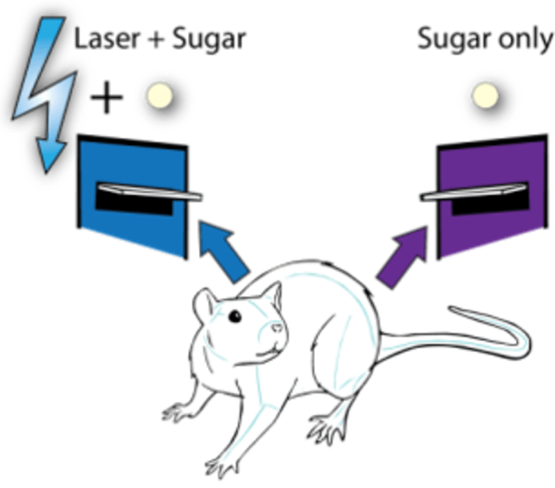 (Image) Experiment