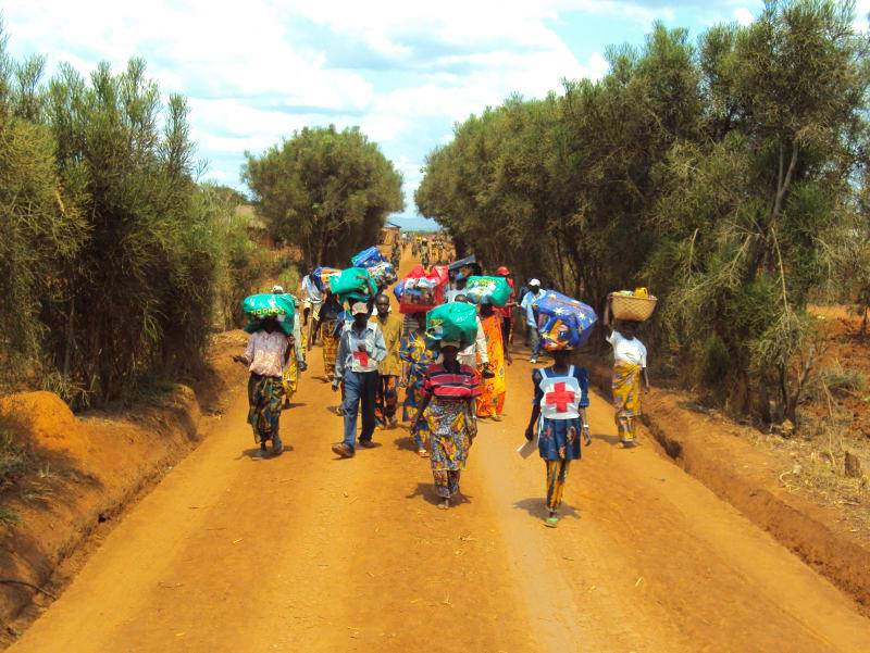 (Image) Distributing bed nets.