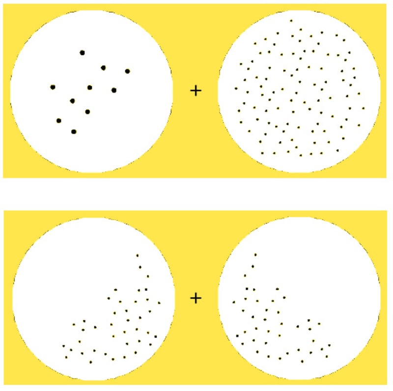 (Image) The numerosity effect