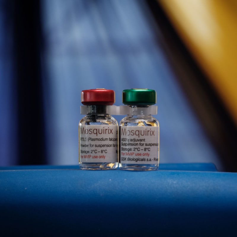(Image) The RTS.S malaria vaccine