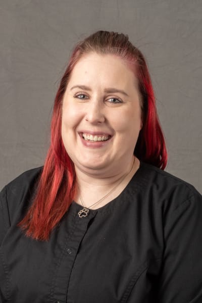 About Your Team Mosaic Dental Eagan Valley Eagan Minnesota