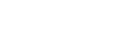 Palmetto Dental logo