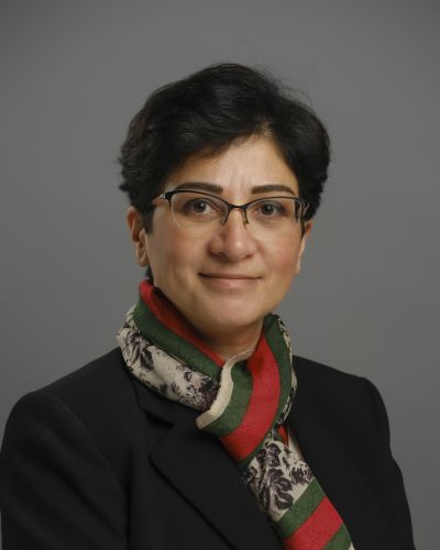 Attieh Arefain, DMD
