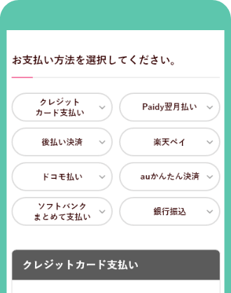 お支払い手続き