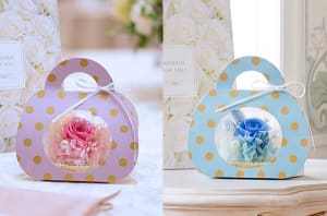 プチケーキのような可愛いお花を贈る。新しいプチフラワーギフトが登場