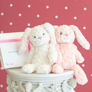 【Mary Meyer】パティ ナーサリー＆クリームバニー S＋ドキドキHAPPYBOX電報