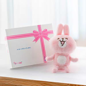 カナヘイの小動物 うさぎ＋ドキドキHAPPYBOX電報