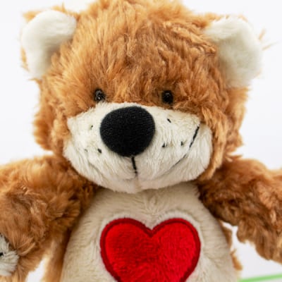 スージー・ズー ふかふかブーフ＋ドキドキHAPPYBOX電報 | 電報なら