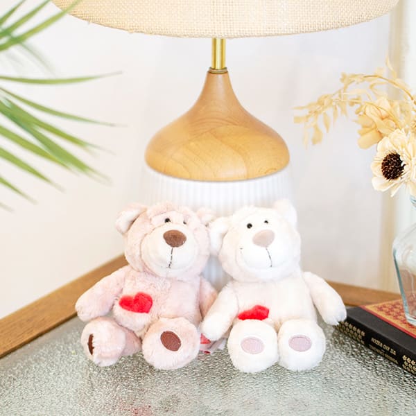 NICI（ニキ）ラブベア クラシックぬいぐるみ ポポ＆ララ（15cm）＋ドキドキHAPPYBOX電報