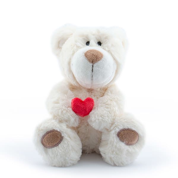 NICI（ニキ）ラブベア クラシックぬいぐるみ ポポ＆ララ（25cm）＋ドキドキHAPPYBOX電報