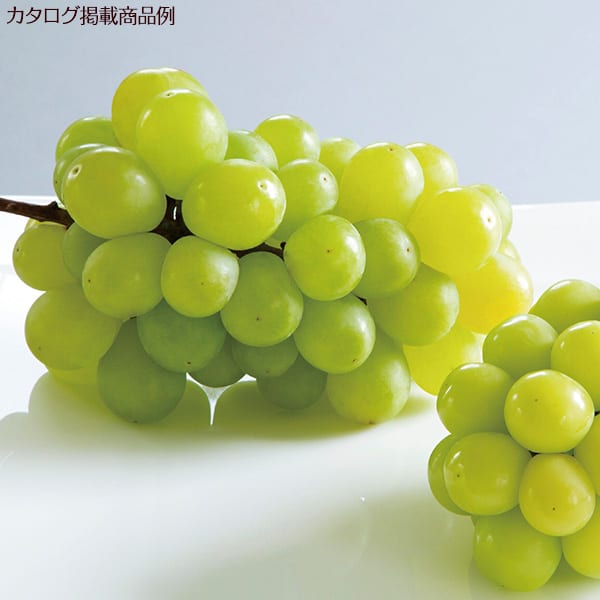 フルーツチョイス(F16-C)＋ハート電報ロイヤルフラワーブルー