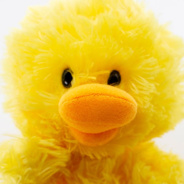 スージー・ズー ふんわりウィッツィーぬいぐるみ＋ドキドキHAPPYBOX電報