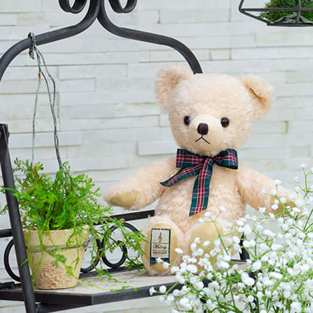 テディベア くまのメロディピンク(M)ぬいぐるみ電報