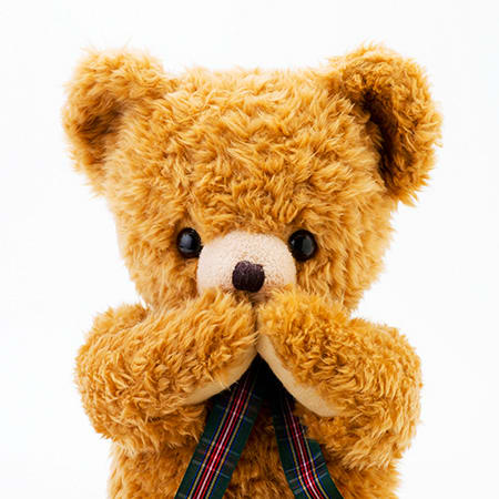 テディベア くまのメロディ(L)