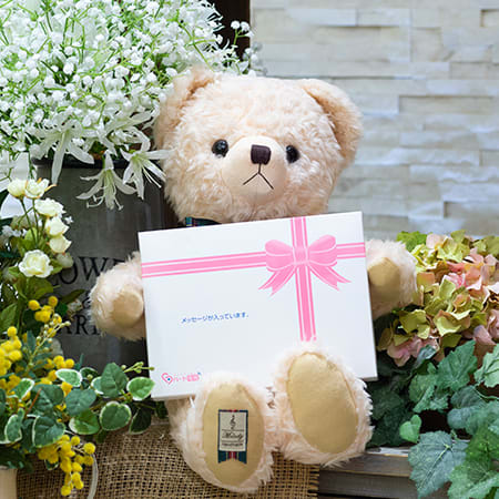 テディベア くまのメロディピンク(L)