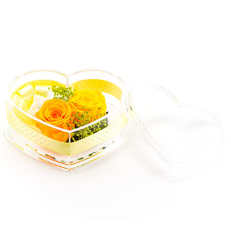 ハートのケースはふたを開けることができます