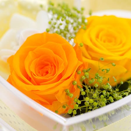 ハートのケースはふたを開けることができます