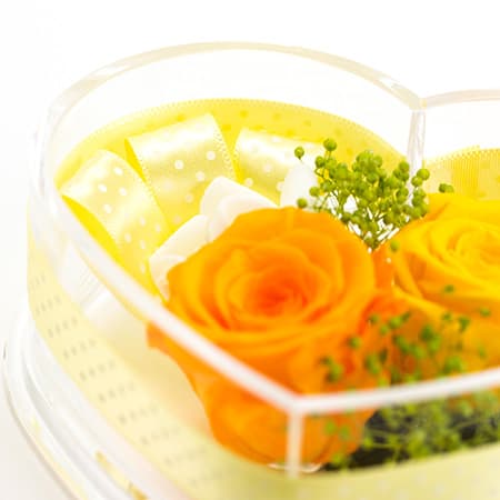 ハートのケースはふたを開けることができます