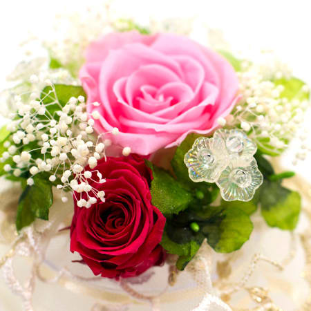 フレッシュピンクと真紅のローズの組み合わせ