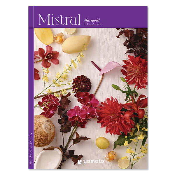 カタログギフト(マリーゴールド)