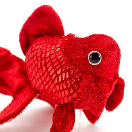 幸運を呼ぶ赤いきんぎょ