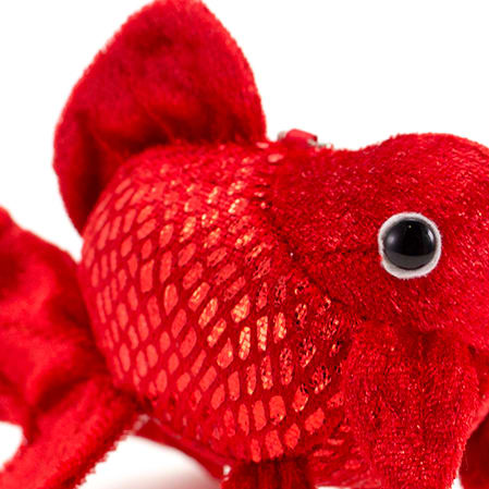 幸運を呼ぶ赤いきんぎょ