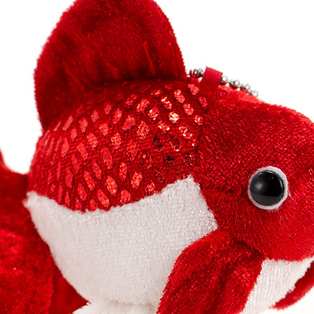 紅白のボディでおめでたさ満載