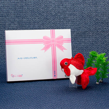 紅白のボディでおめでたさ満載