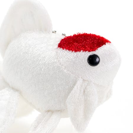 頭の赤が印象的です