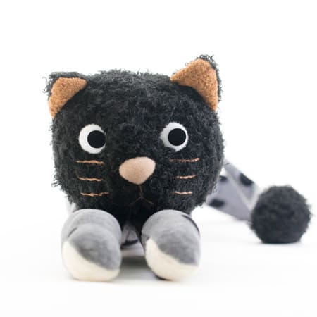 つぶらな瞳がかわいい