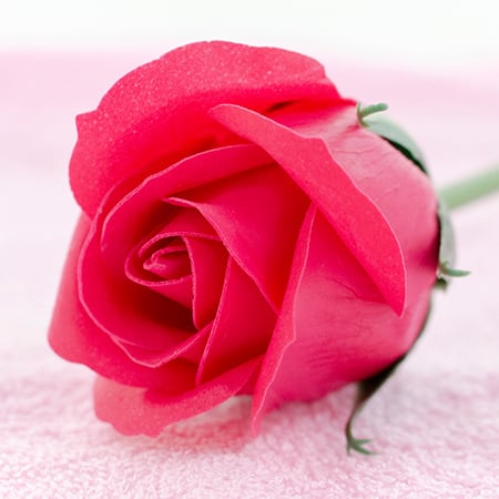 ハンカチブーケ（ピンク）