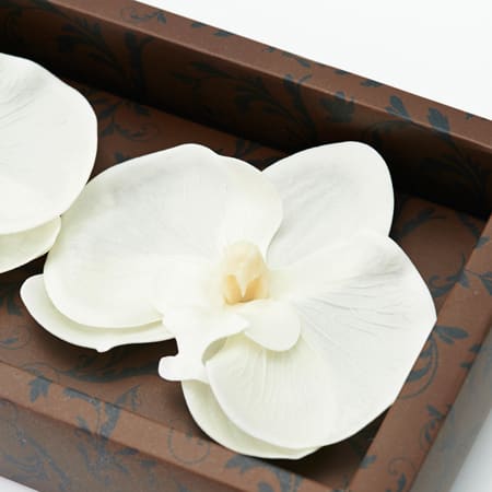 フラワーフレグランス（胡蝶蘭）