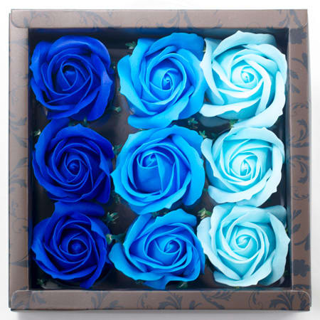 蒼い海を思わせるようなグラデーションカラー