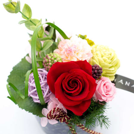 〈HANARI〉モダンそばちょこ レッド