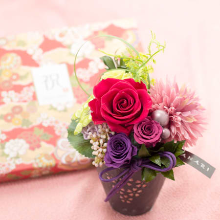 〈HANARI〉桜小町 レッド