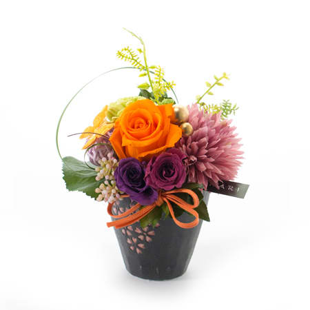 〈HANARI〉桜小町 オレンジ