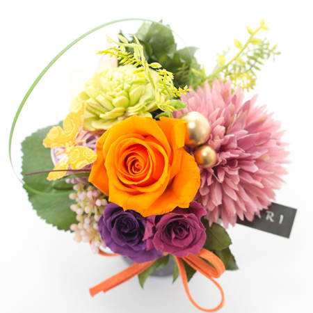 〈HANARI〉桜小町 オレンジ