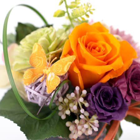 〈HANARI〉桜小町 オレンジ