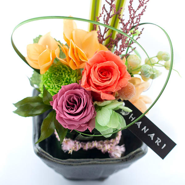 〈HANARI〉小夢 オレンジ