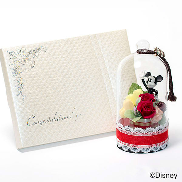 ラブリードーム（ミッキーマウス）