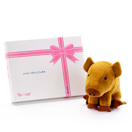 Brunaファミリー うりぼう