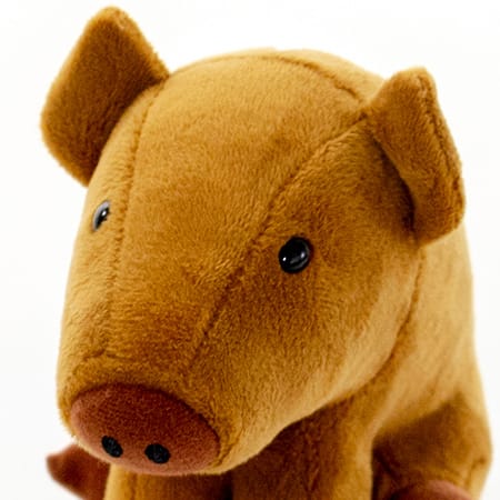 Brunaファミリー うりぼう