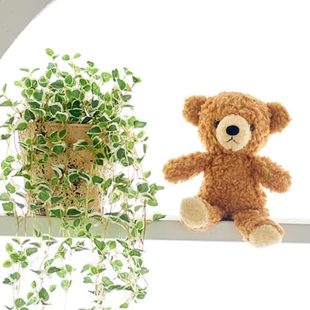 【日本製】クマのフカフカ(S)ブラウン