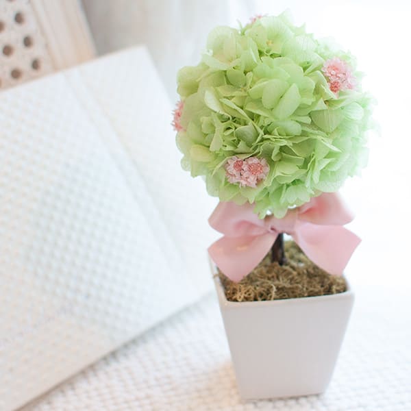 〈*Rosary*〉トピアリー・ピンク