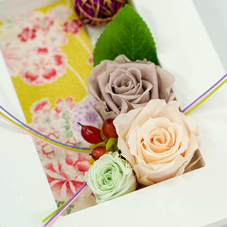 和カジュアルフレーム シャンペーン