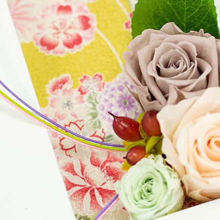 和カジュアルフレーム シャンペーン