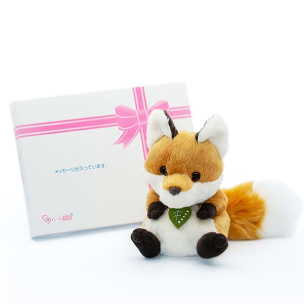 potte キツネぬいぐるみ＋ドキドキHAPPYBOX電報